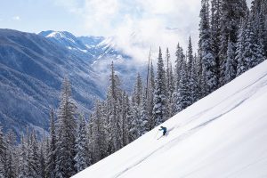 Mountain Collective
